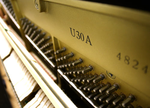 ���Y���Ãs�A�m,���������s�A�m,���}�n,�s�A�m�C��