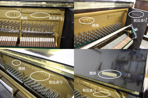 ���Ãs�A�m�������p�̐����ԍ�